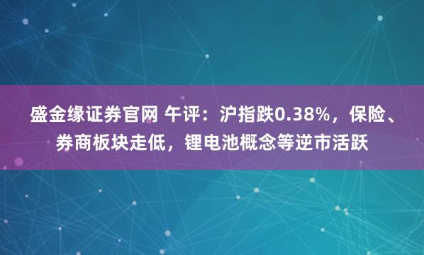 盛金缘证券官网 午评：沪指跌0.38%，保险、券商板块走低，锂电池概念等逆市活跃
